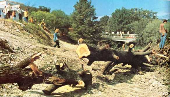 Waller Creek.Post Tree Removal.