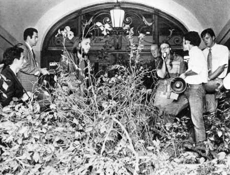 Waller Creek.Trees at Main Building.