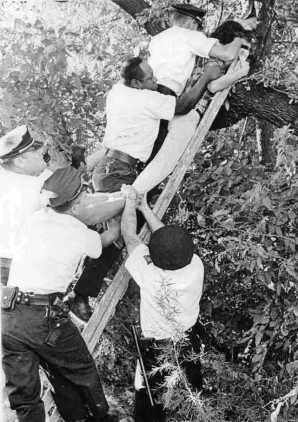 Waller Creek.Protesters in Trees.