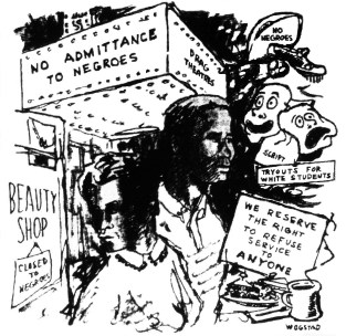 Integration Cartoon.6