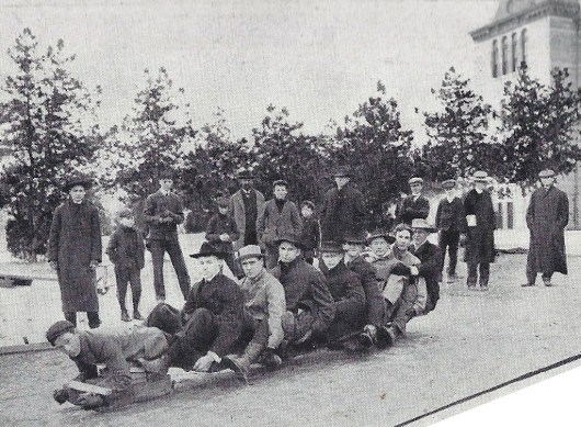 Tobbagan.1905 Cactus