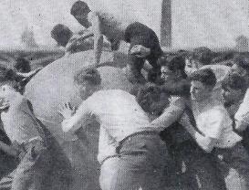 1916 Pushball.Free for All